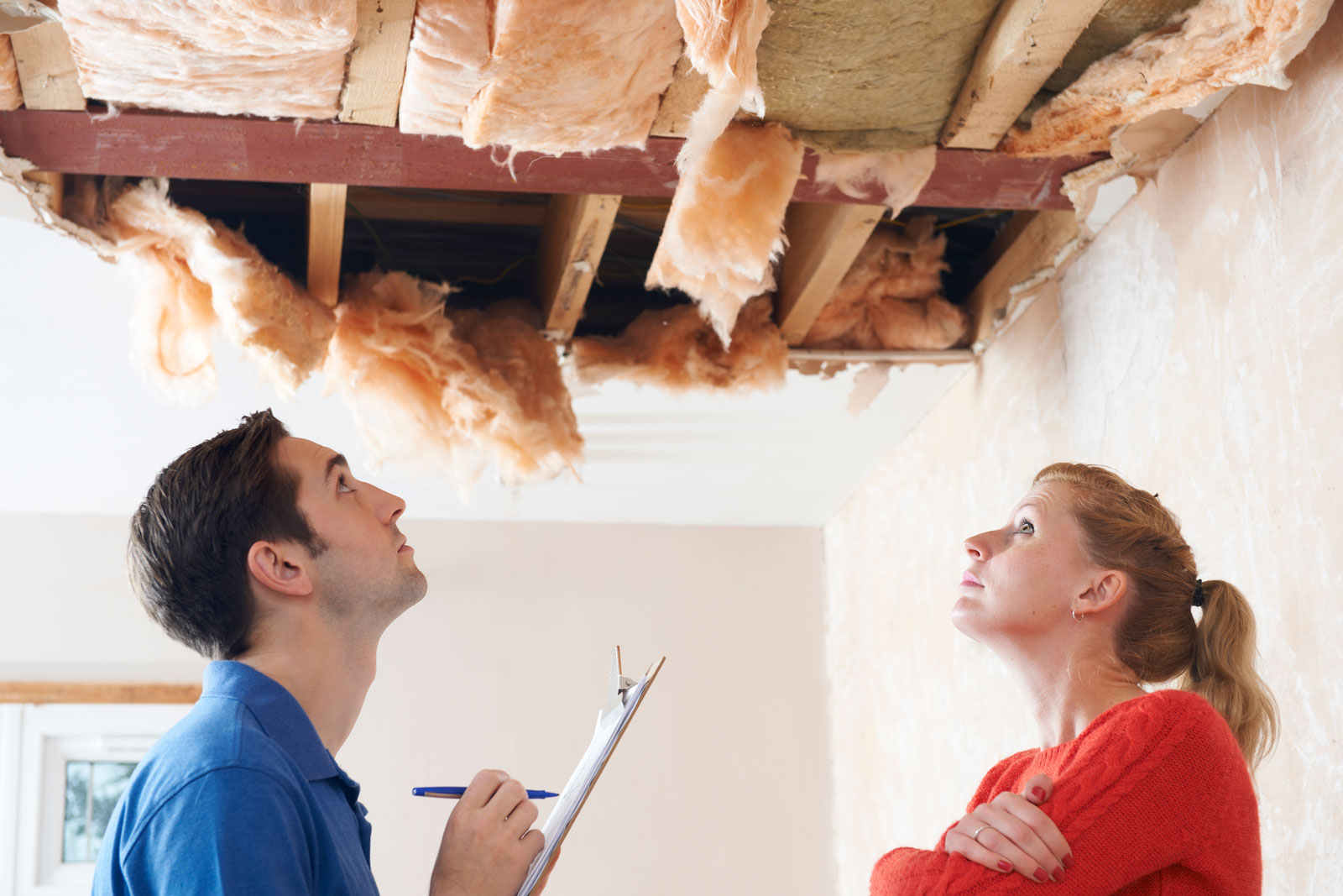 verbal inspections