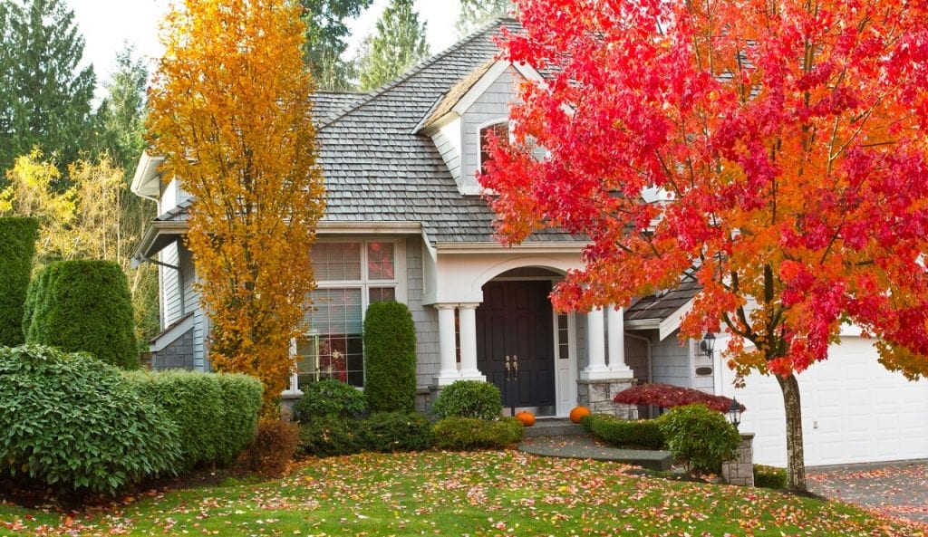 Fall Lawn Maintenance Tips