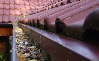 5 Ways to Improve Fall Curb Appeal