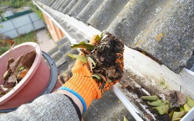 How to Clean Your Gutters Correctly