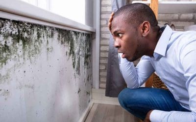 Mold Inspections: The Smart Homeowner’s Secret to a Healthier, Safer Home
