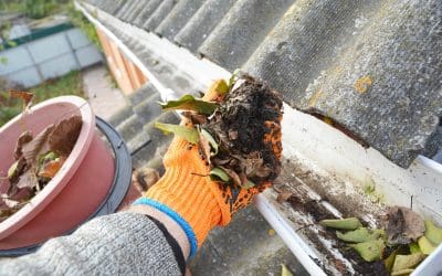 The Outside Matters Too: Your Complete Exterior Home Maintenance Guide